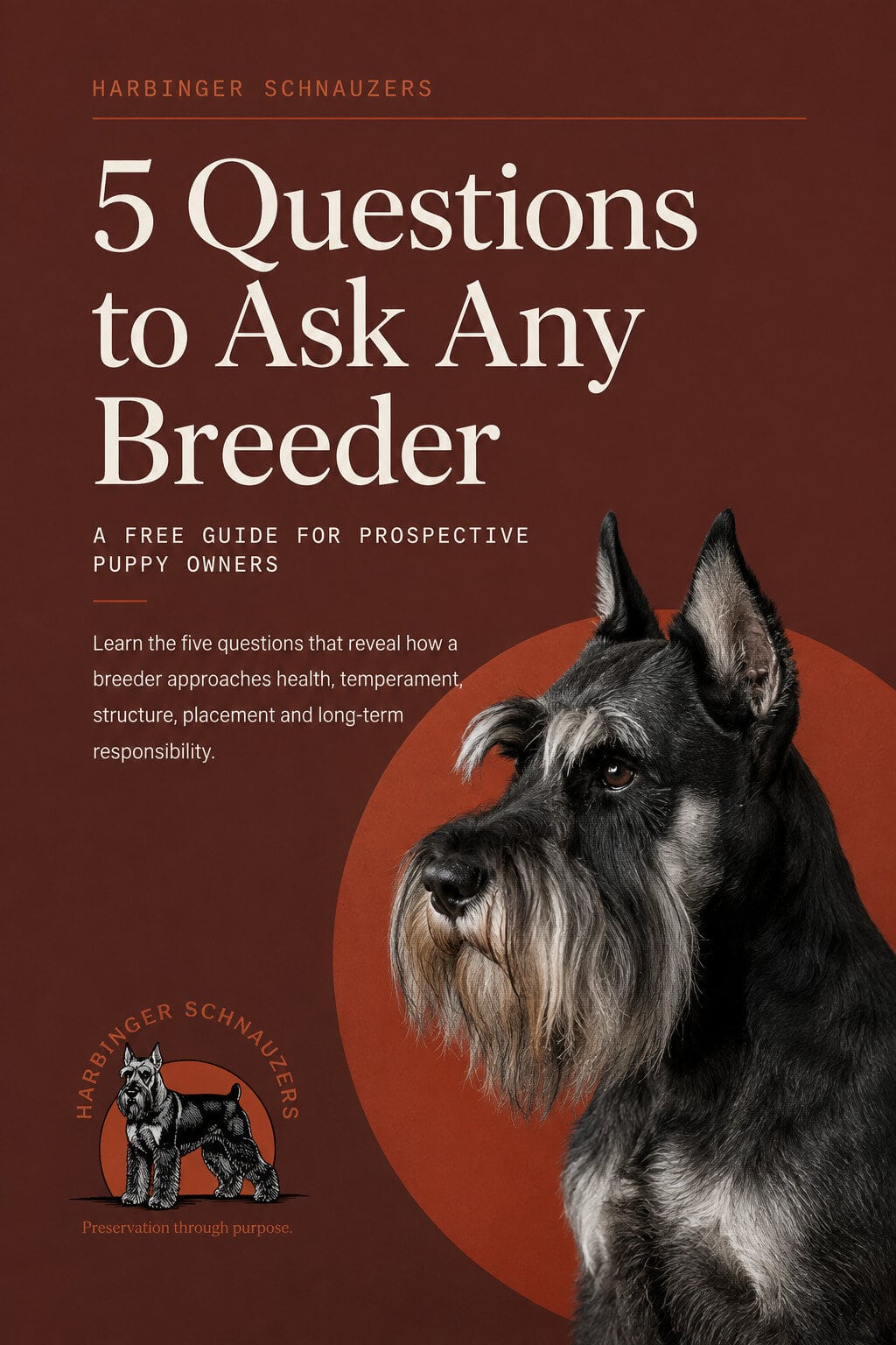 5 Questions to Ask Any Breeder — Harbinger Schnauzers